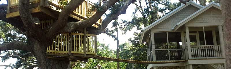tree house builders tree house construction